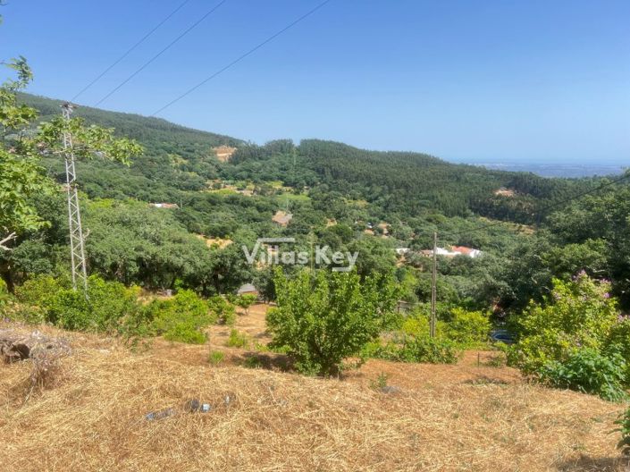 Image No.12-3 Bed Farmhouse for sale