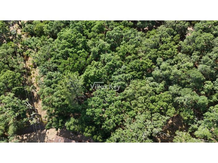 Image No.17-3 Bed Farmhouse for sale