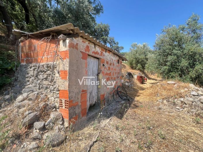 Image No.4-3 Bed Farmhouse for sale