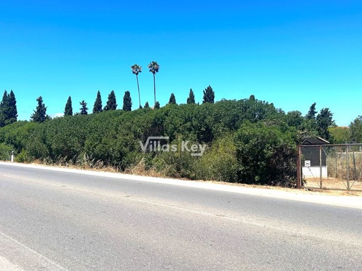 Image No.10-Plot for sale