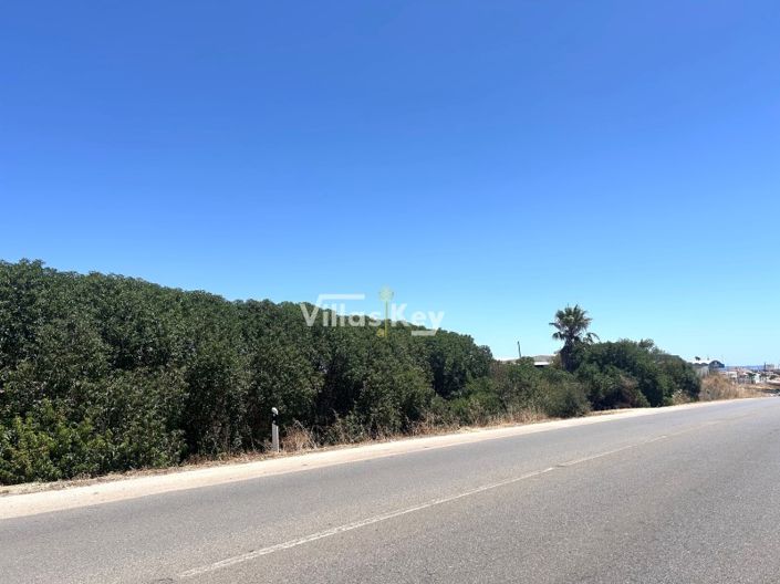 Image No.7-Plot for sale