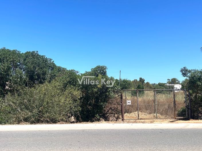 Image No.9-Plot for sale