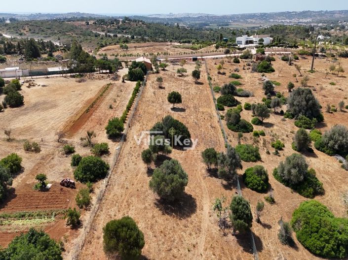 Image No.9-Plot for sale