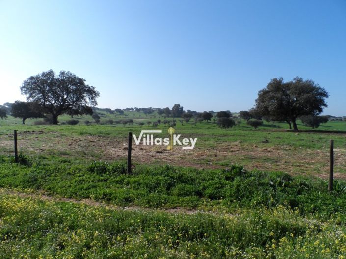 Image No.18-8 Bed Farmhouse for sale