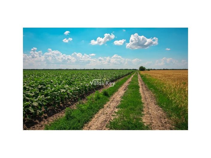 Image No.21-8 Bed Farmhouse for sale