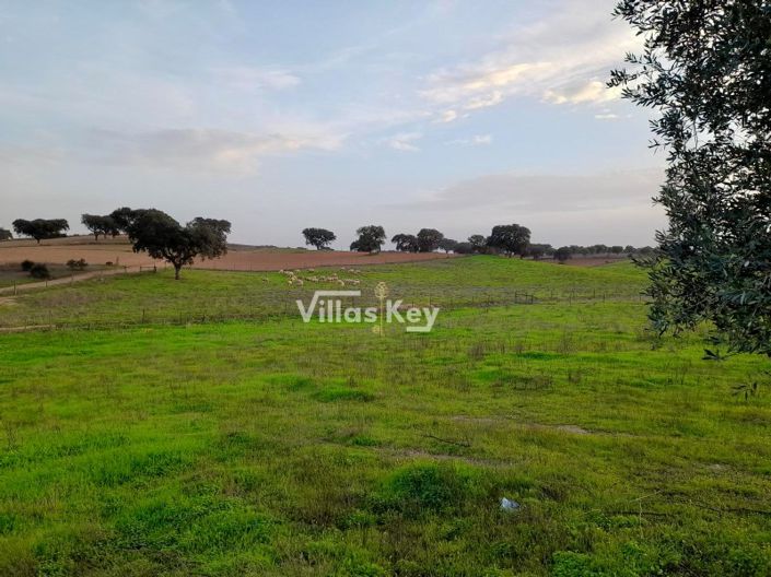 Image No.22-8 Bed Farmhouse for sale