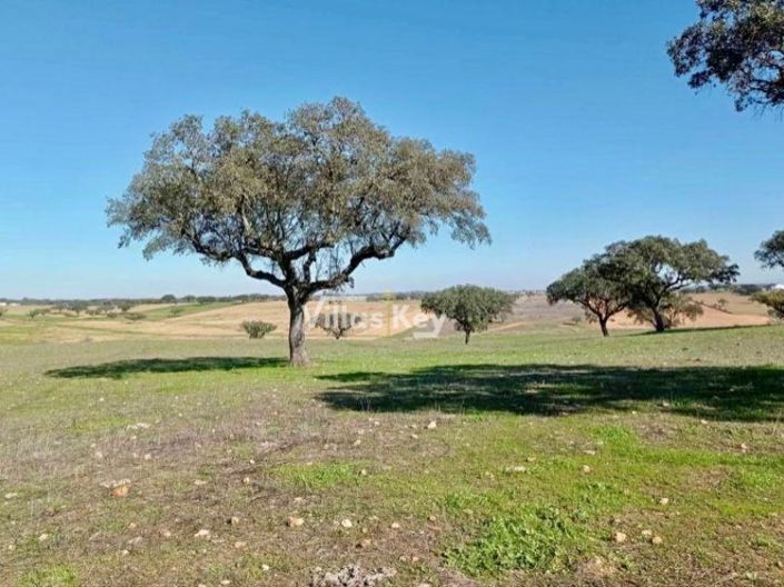 Image No.23-8 Bed Farmhouse for sale