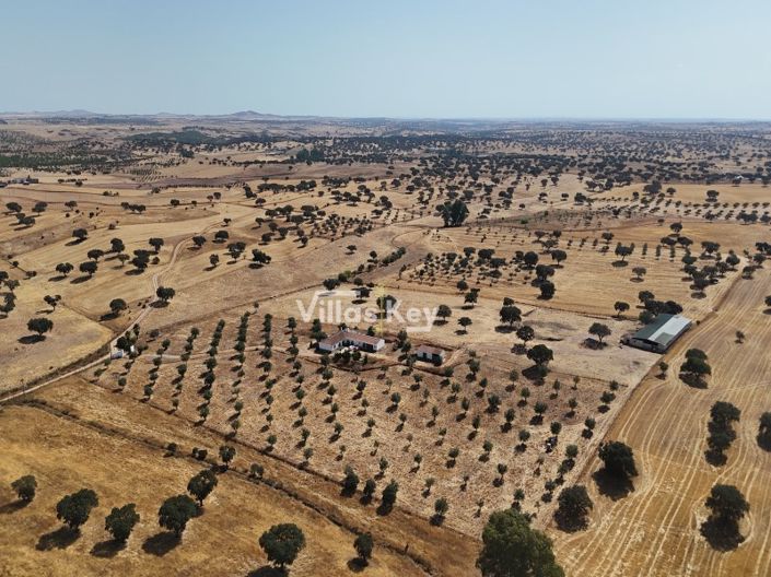 Image No.7-8 Bed Farmhouse for sale