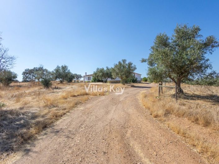 Image No.40-8 Bed Farmhouse for sale