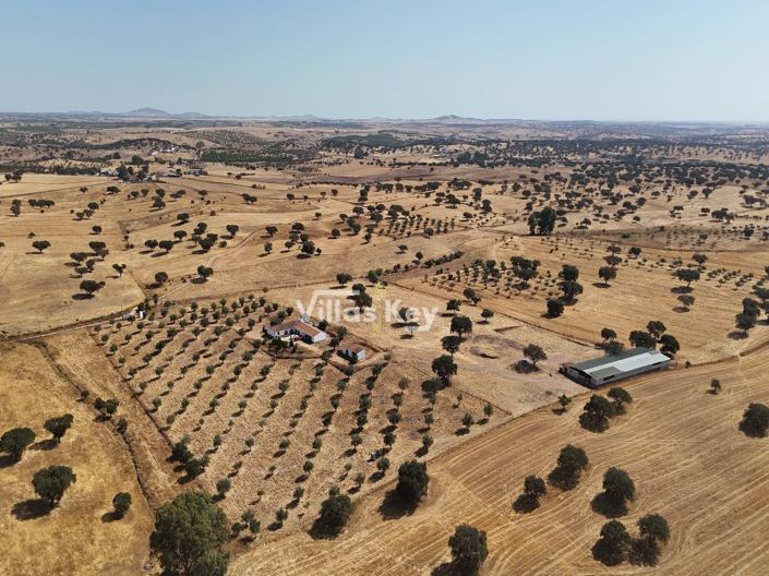 Image No.35-8 Bed Farmhouse for sale