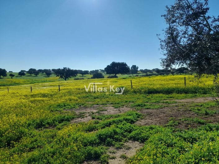 Image No.13-8 Bed Farmhouse for sale