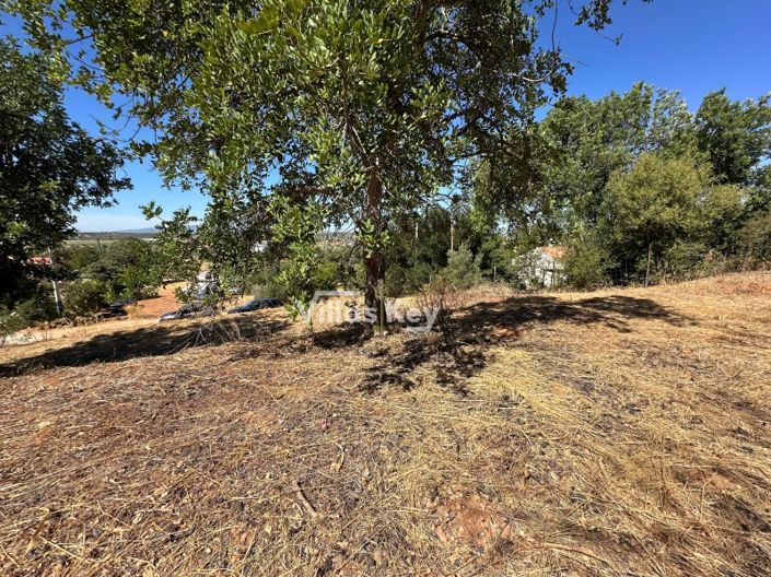 Image No.3-Plot for sale