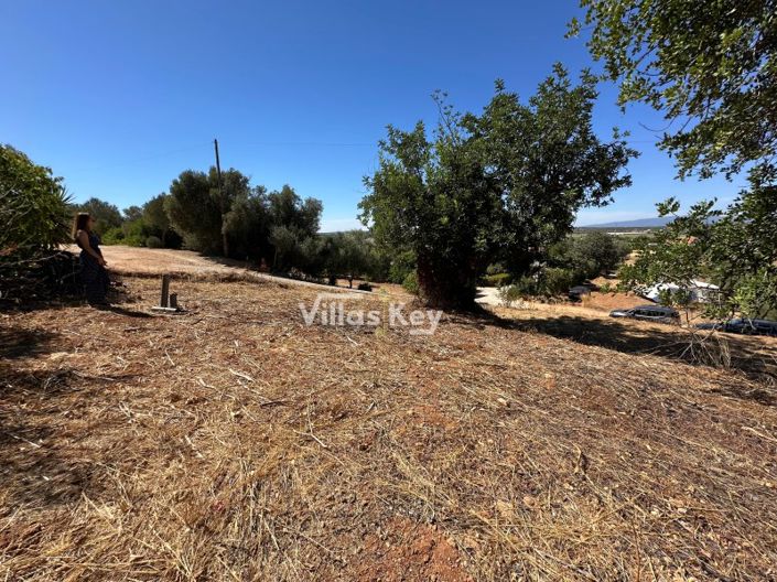 Image No.4-Plot for sale