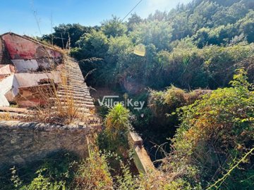 id8132ae01-0000-0500-0000-0000174c0554