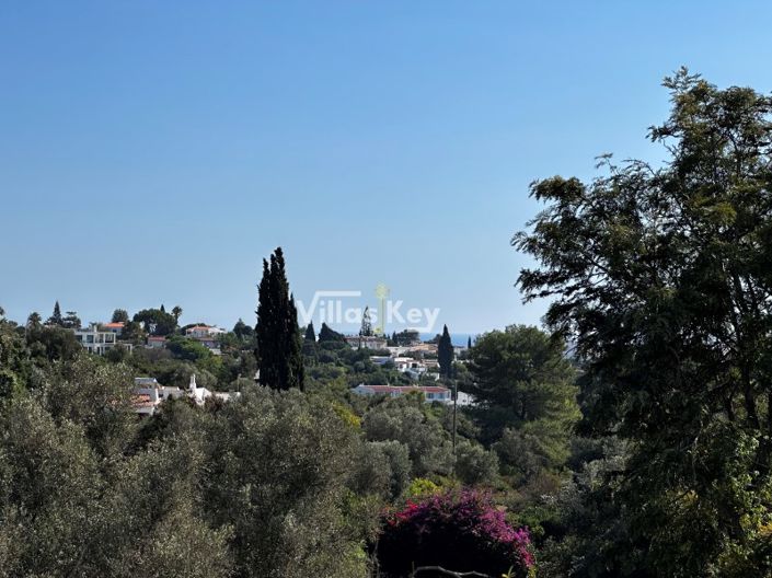 Image No.44-3 Bed House for sale