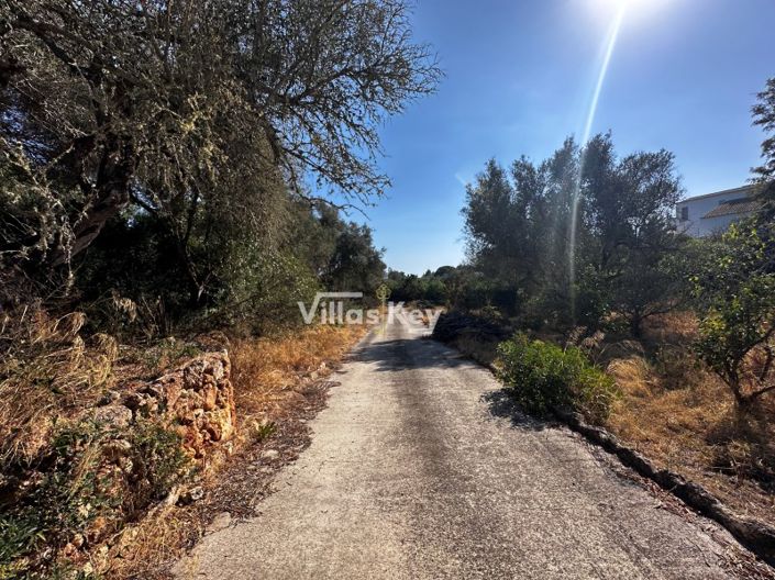 Image No.48-3 Bed House for sale