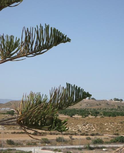 Image No.37-2 Bed Villa / Detached for sale