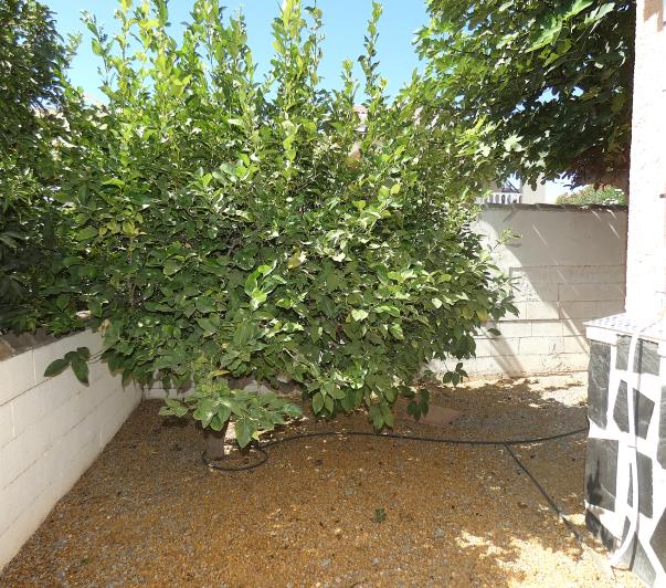 Image No.61-2 Bed Villa / Detached for sale