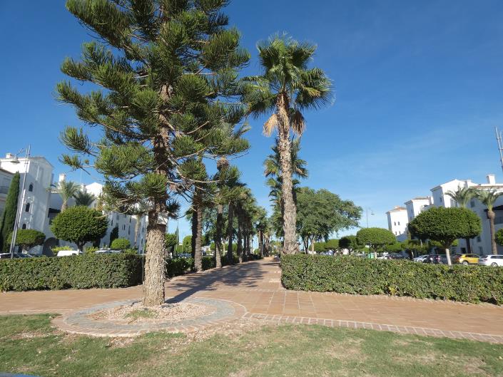 Image No.39-1 Bed Apartment for sale