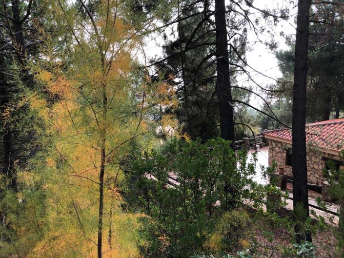 Image No.16-3 Bed Country House for sale