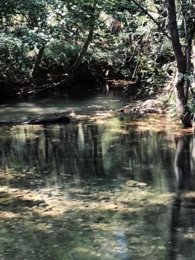 Image No.22-3 Bed Country House for sale