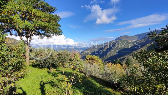 Image No.8-3 Bed Townhouse for sale