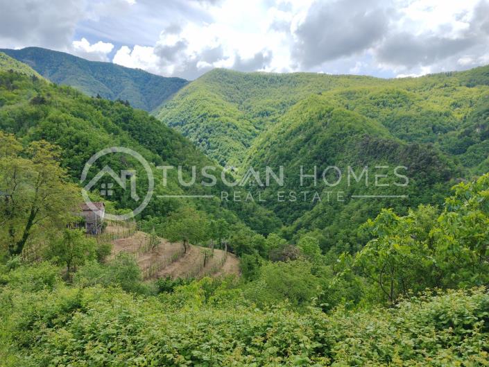 Image No.11-3 Bed House/Villa for sale