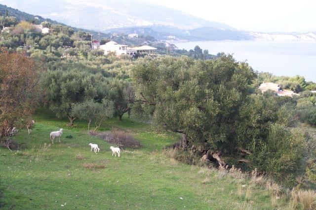 Image No.22-4 Bed House/Villa for sale