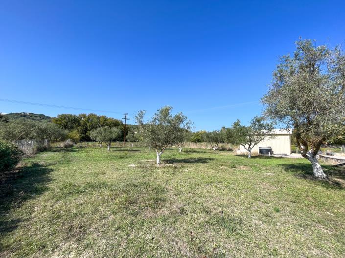 Image No.12-2 Bed Land for sale