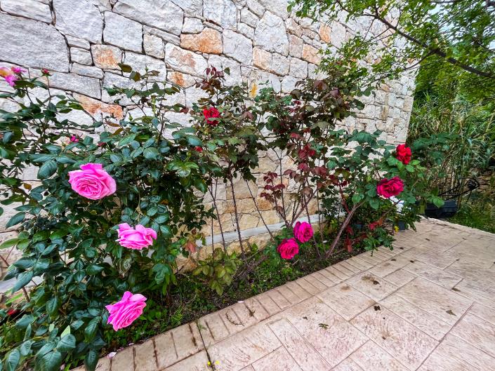 Image No.30-3 Bed Villa for sale