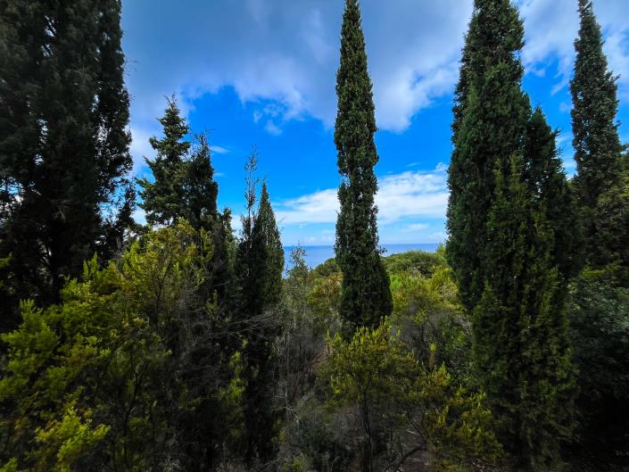 Image No.53-6 Bed Villa / Detached for sale