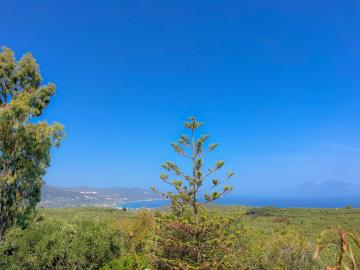 1 - Zante, House/Villa
