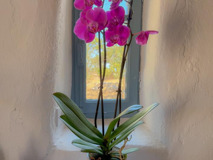 Image No.11-8 Bed House/Villa for sale