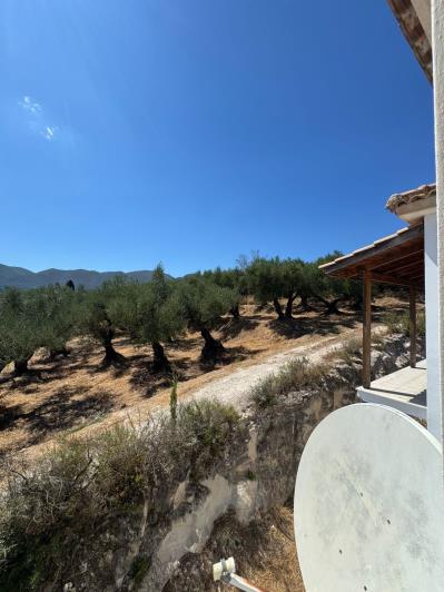 Image No.38-4 Bed House/Villa for sale