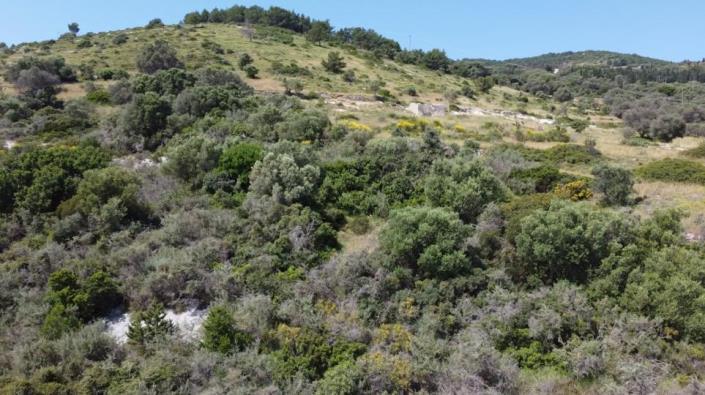 Image No.5-Land for sale