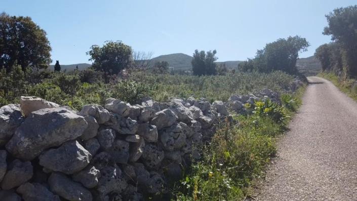 Image No.19-Land for sale