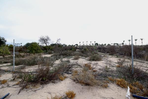 Image No.6-Land for sale