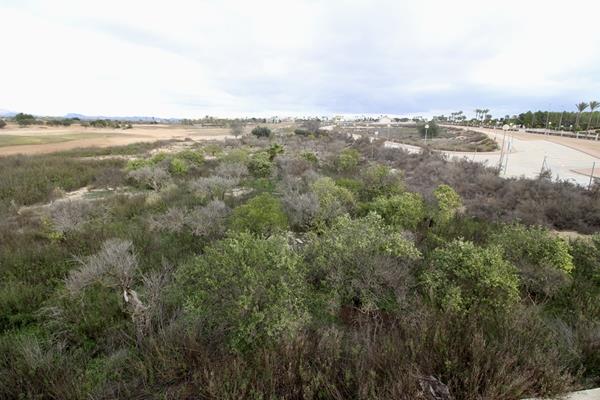 Image No.9-Land for sale