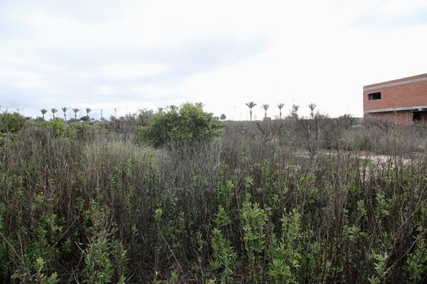 Image No.8-Land for sale