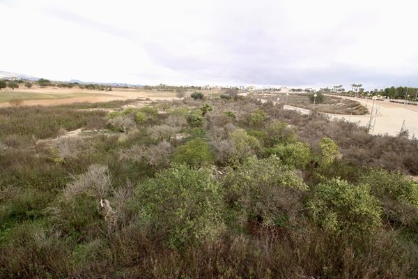 Image No.12-Land for sale