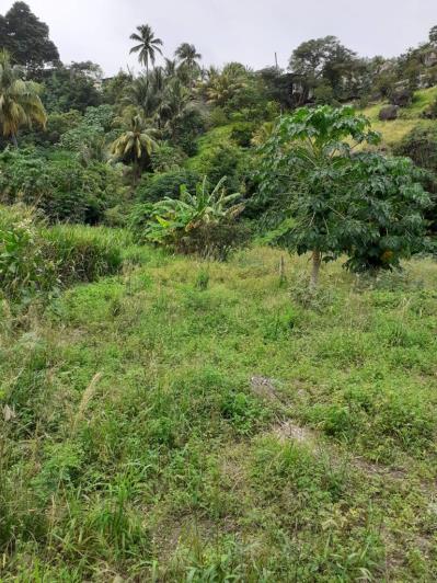 Image No.1-Land for sale