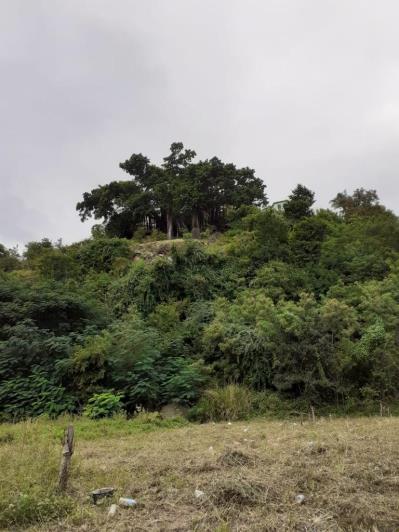 Image No.2-Land for sale