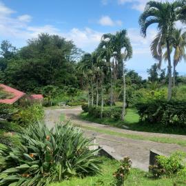 IMG-20210813-WA0047