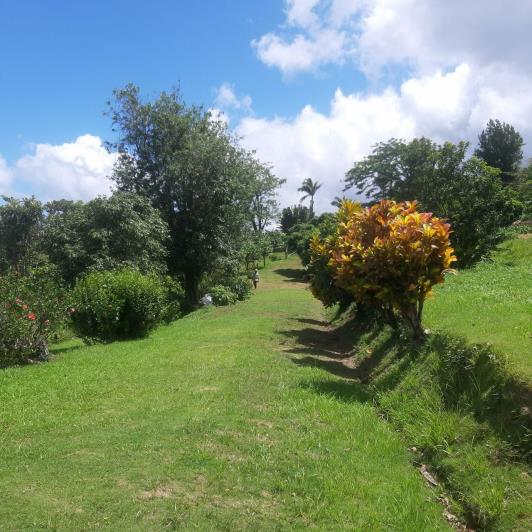 Image No.19-7 Bed Cottage for sale