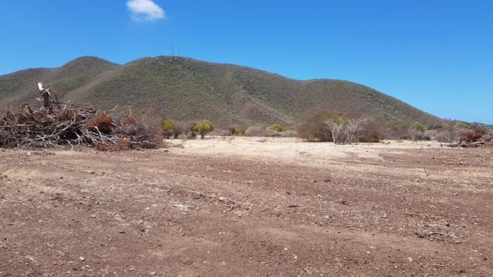 Image No.4-Land for sale