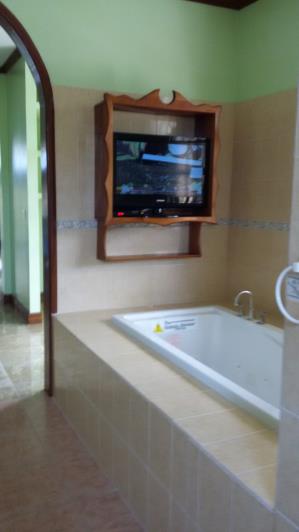 Image No.10-4 Bed Mansion for sale