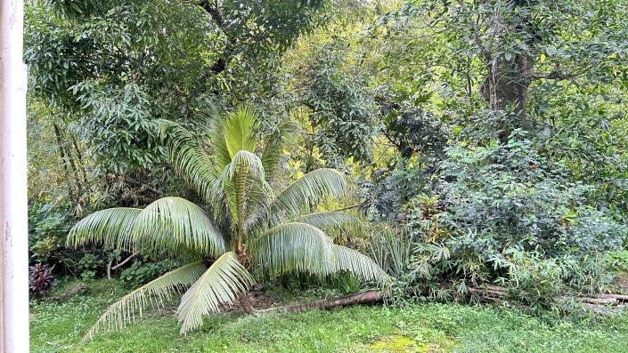 Image No.8-4 Bed House for sale