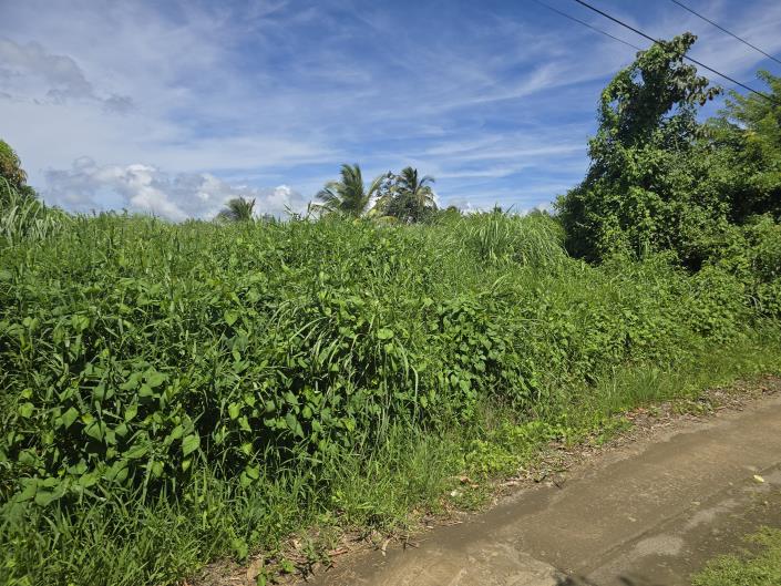 Image No.7-Land for sale