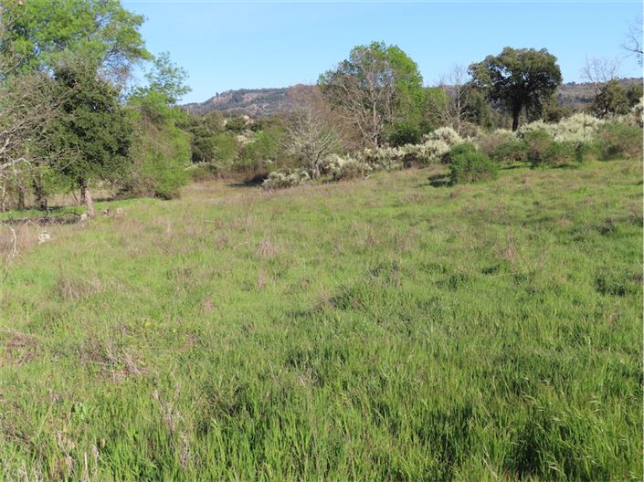 Image No.3-Property for sale