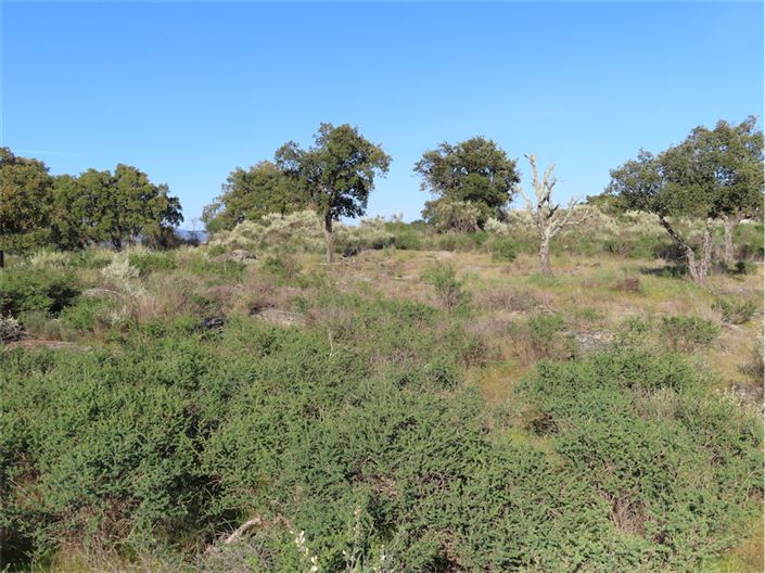 Image No.5-Property for sale